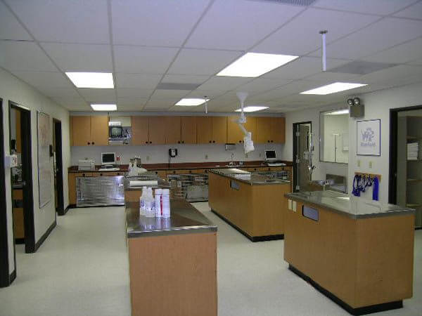Lab