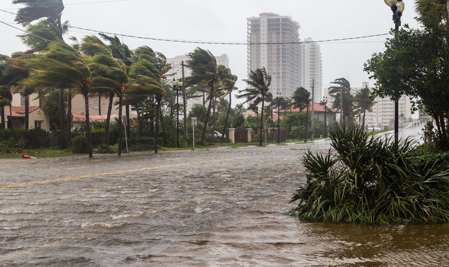 Rebuilding Cities After A Hurricane